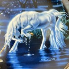 Bild 10 von 11
