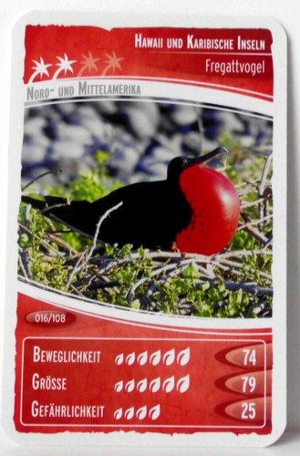 °° Ozeanien 2 - Wir tauchen auf! - Nr 001-054 - Sammelkarte - Netto °° - Picture 16 of 44