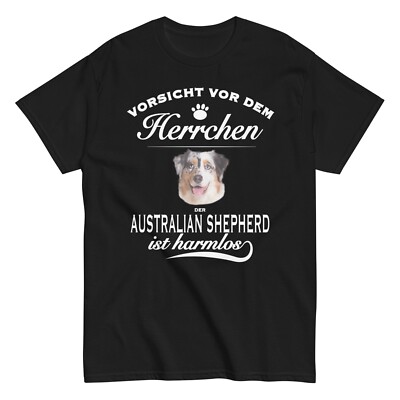 Beware of Lording the Australian Shepherd is Harmless - Aussi