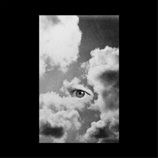 Joni Void Selfless (Vinyl LP) 12" Album