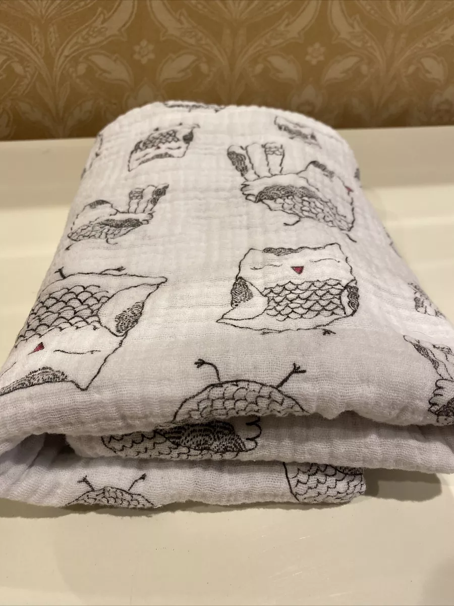 Aden and sale anais owl blanket