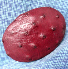Vintage Ostrich Leather Belt Buckle Red Burgundy Maroon         .MMR530