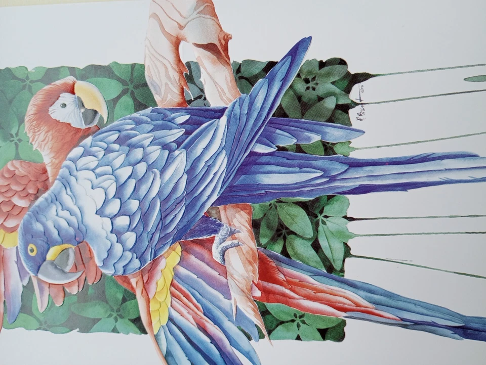 New Unused Blank Note/All-occasion Greeting Cards, Lot Of 7 W/Envelopes Parakeet - Image 4 of 4