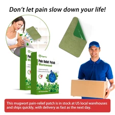 🌿60Pc Herbal Pain Relief Patch for Knee Back Neck Muscle Arthritis Murgwort Pad