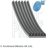 Blue Print AD06R1718 Keilrippenriemen Keilriemen