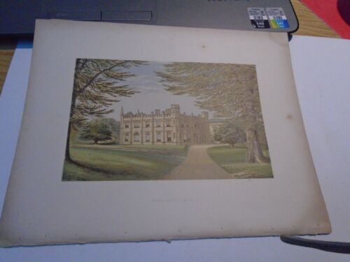 THRYBERGH  PARK   LITHOGRAPH  VICT   25/20CM PAGE SIZE   MARKS  FAULTS NOTED  -. - Picture 1 of 5