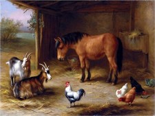 Horse Goats Chickens Farmyard Tile Mural Kitchen Wall Backsplash Marble Ceramic