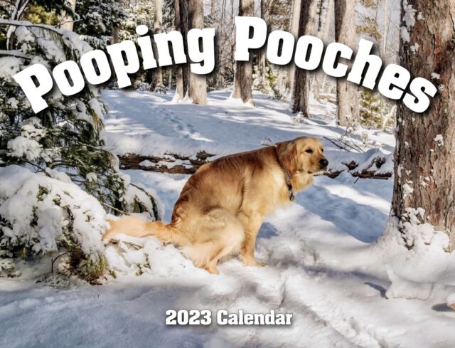2023 Pooping Pooches Dog Calendar White Elephant Gag Gift Exchange Yankee Swap