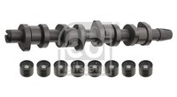 Nockenwellensatz Febi Bilstein 33197 FÜR Audi VW
