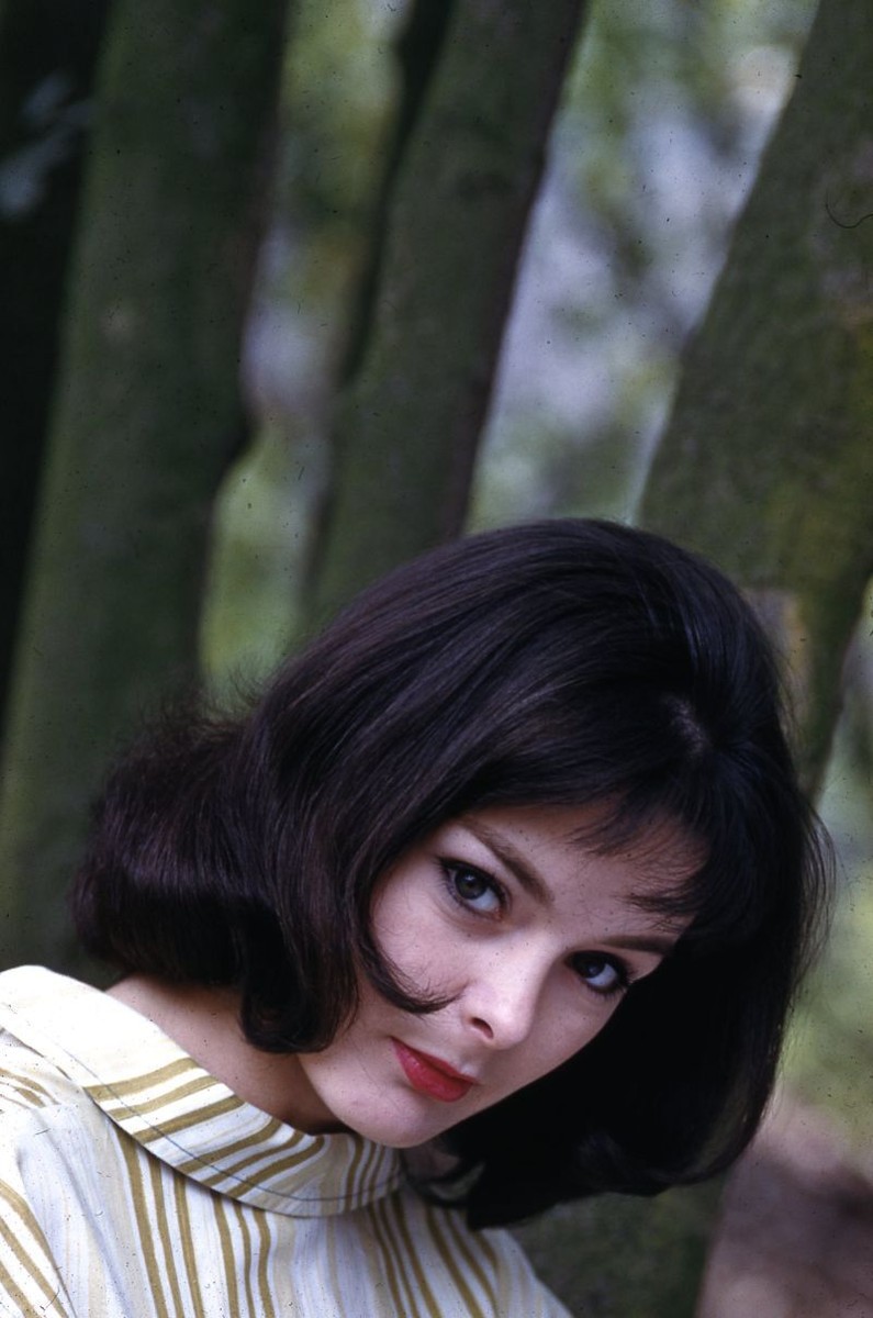 Lot of (3) 1960s BARBARA BRICKER Original 35mm Slide