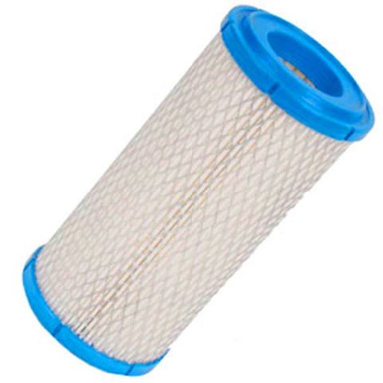 FILTRO ARIA CAGIVA ELEFANT 900 93/97 - Foto 2