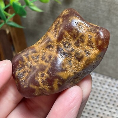 61g Bonsai Suiseki stone raw original Gobi Eye Stone - Stunning Viewing A300