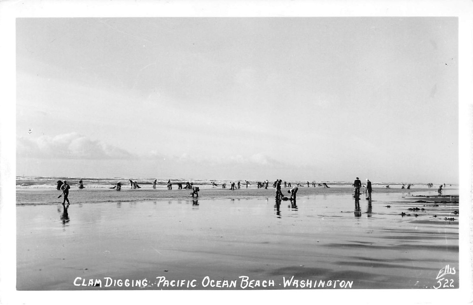 Pacific Ocean Beach Clam Digging Pacific Beach, WA Vtg 1950's RPPC