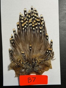 Fly Tying Jungle Cock | eBay
