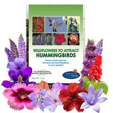 Hummingbird Nectar Wildflower Seeds - 1oz, Open-Pollinated Flower Seed Mix Pa... 271.84 per gallon