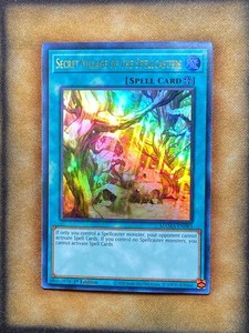 Secret Village of the Spellcasters | eBay