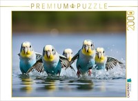 Calvendo Puzzle The Storm Of Budgies | 2000 Pieces, Finished Size 35.4 × 26.4 In
