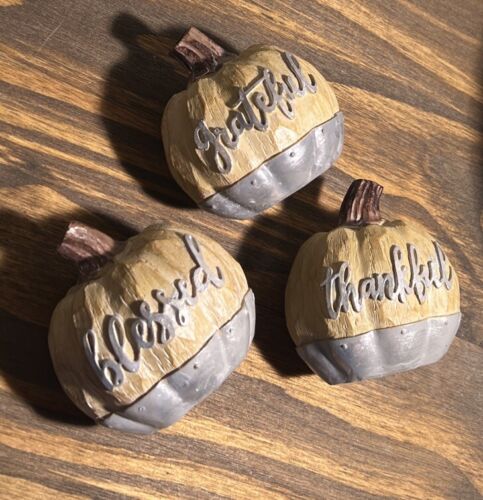 3 Fall Pumpkin Photo / Card Holder Blessed Grateful Thankful Rustic Farmhouse - Picture 1 of 13