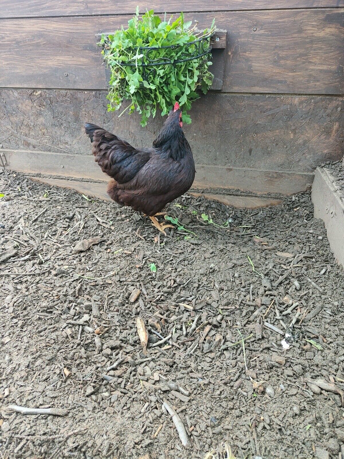 Picture 21 of 24