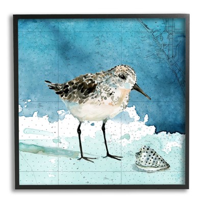 Stupell Sandpiper Bird and Shell Nautical Ocean Map Framed Blue 24 x 24