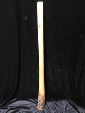 Didgeridoo handgefertigt aus Eukalyptusholz