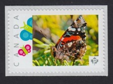 lq. BUTTERFLY on pine tree= Picture Postage stamp MNH-VF Canada 2015 [p15-12sn1]