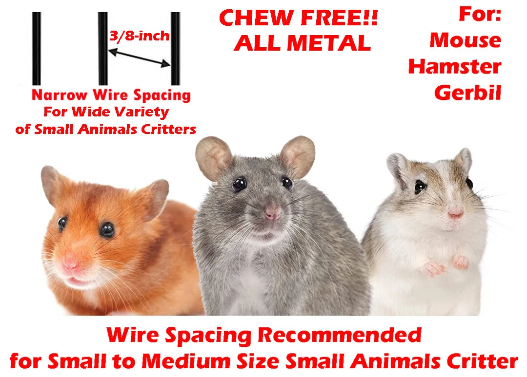 Gerbil compared to hamster sales
