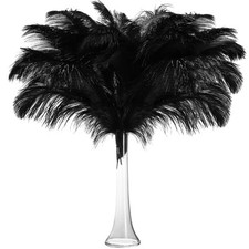 50 Pcs 14-16 Inches Large Natural Ostrich Feathers Bulk for Centerpieces for ...
