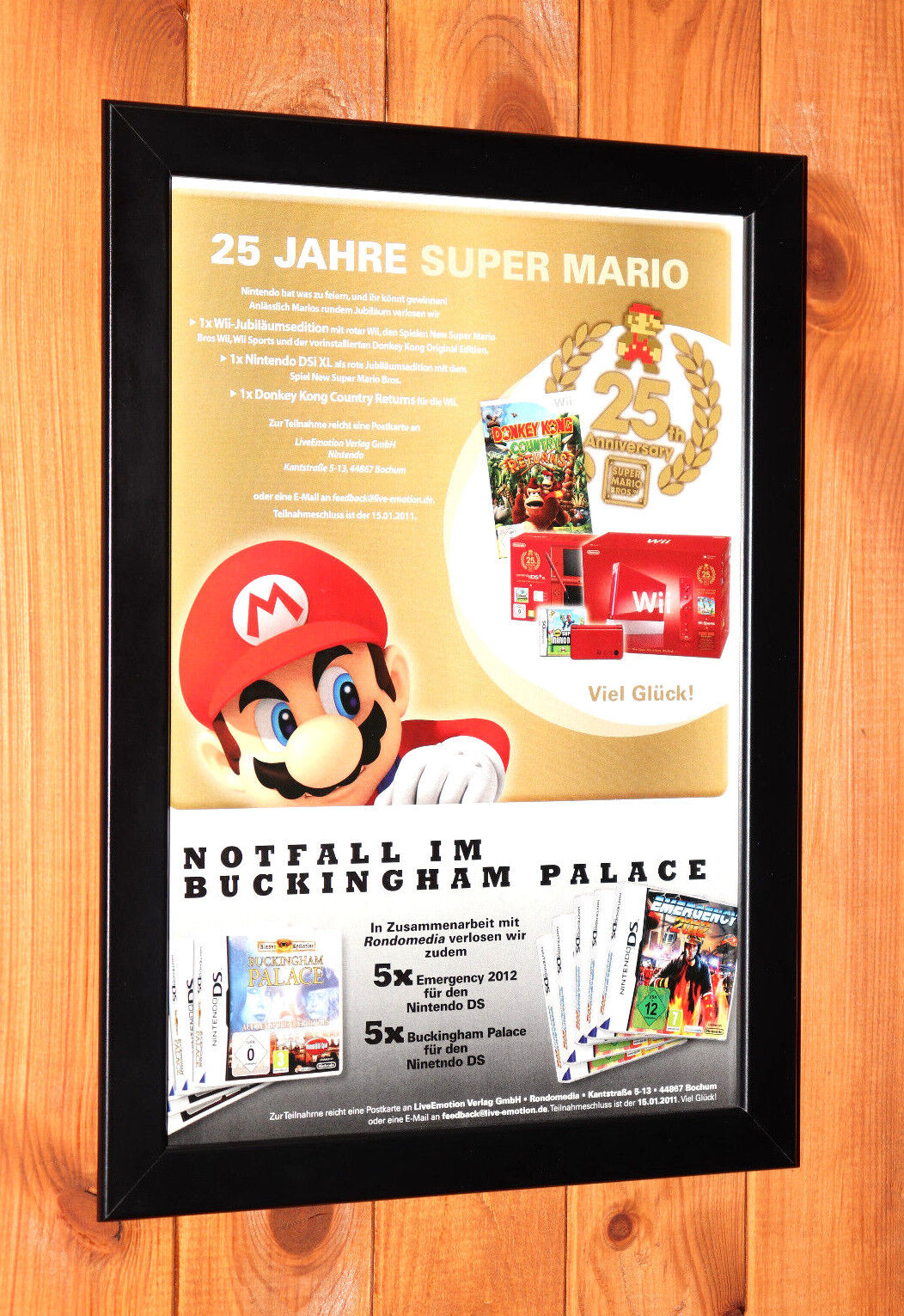 Super Mario 64 25th Year Edition Poster