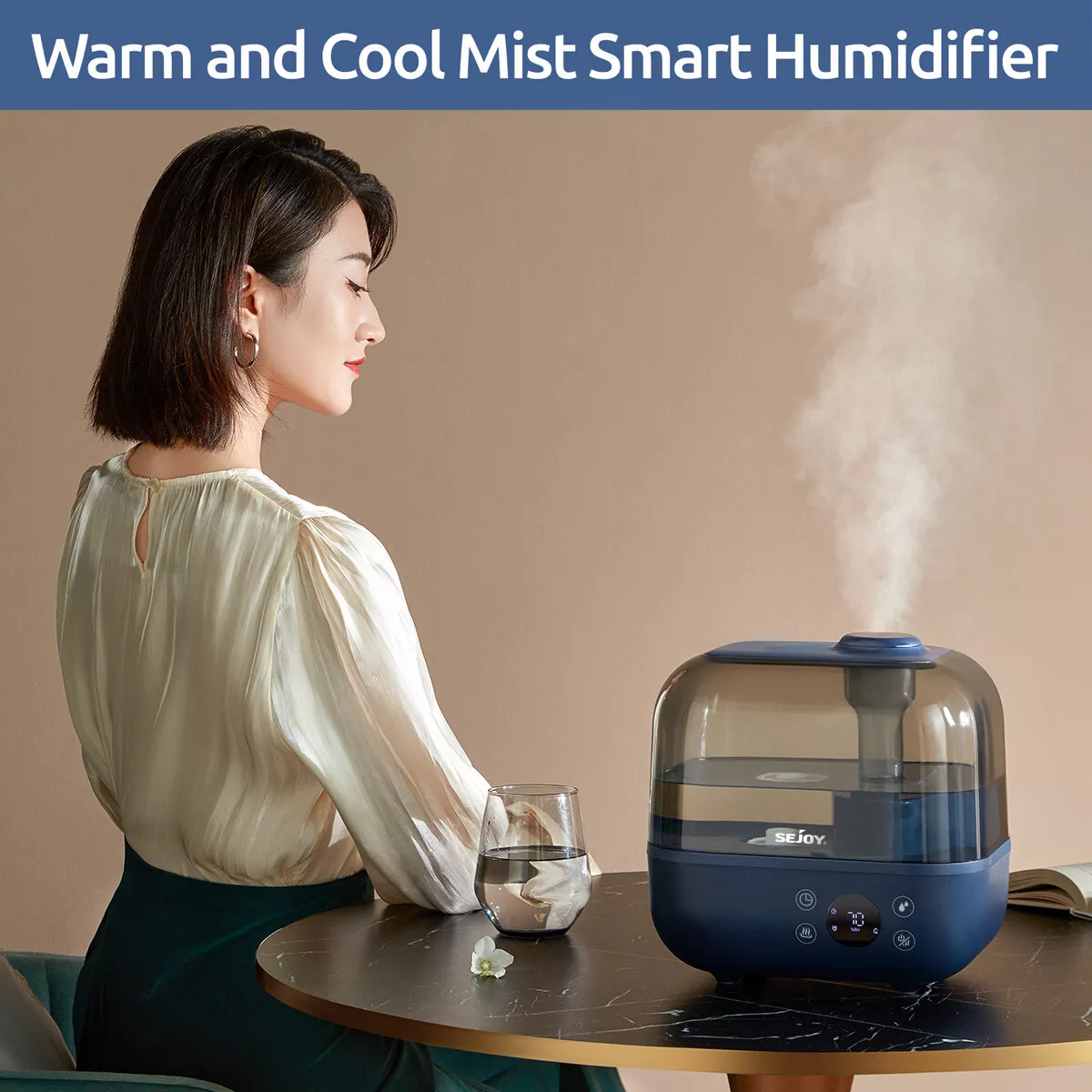 Who 2024 sells humidifiers
