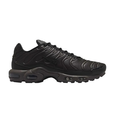 Nike Air Max Plus Premium Paris HJ4519-200 Available Now