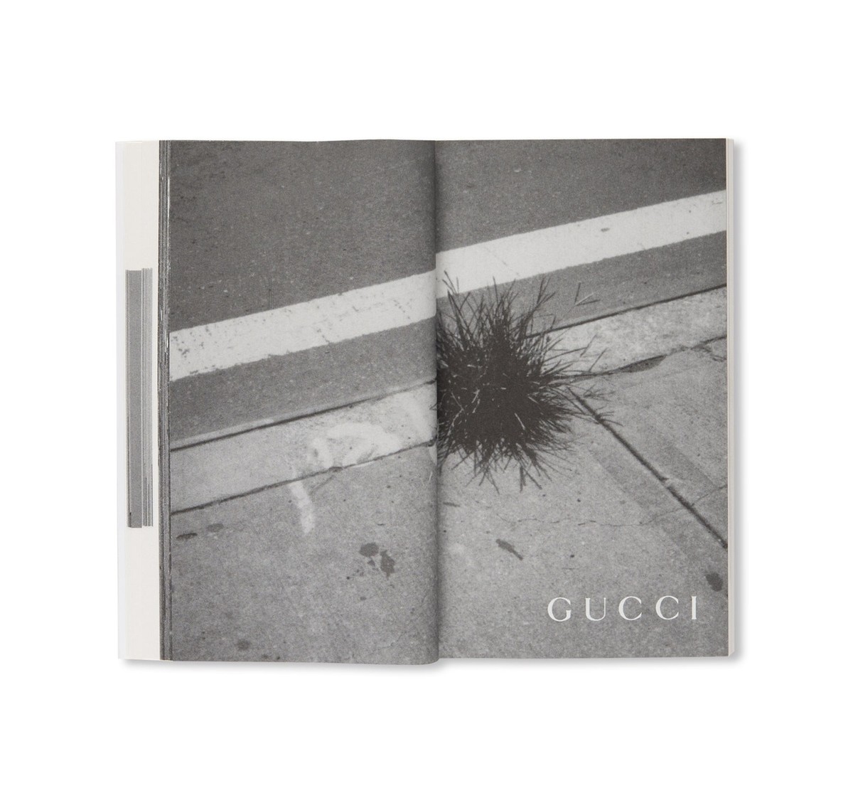 Mark Borthwick fashion SOCIAL DOCUMENTARIES AMID THIS PIST GUCCI