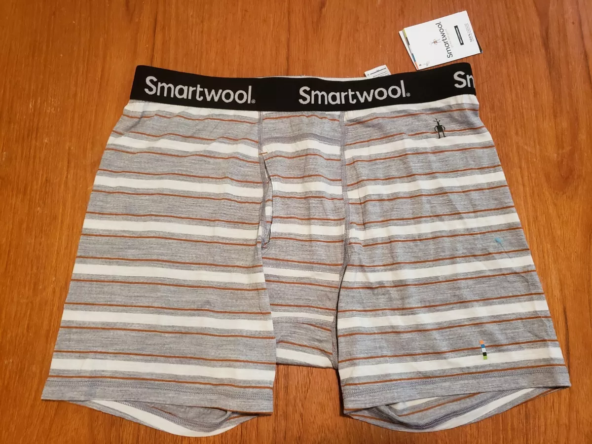 Smartwool Mens Size XL Merino Wool 150 Boxer Briefs Light Gray Sport  Underwear