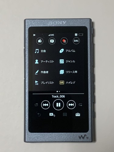 Sony NW-A45 Walkman High Performance Portable Digital Audio Player ...
