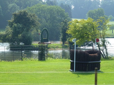 #ad Photo A3 Fences 27 and 28 The Anniversary Splash and Greylag Goose op c2013 GBP 17.50