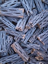 500 3" Organic Cholla Wood Pieces Shrimp Airplants Aquarium Hermit Crab