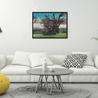Foto 2 di 6