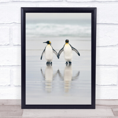 Friends Wildlife Wild Natur Tier Tiere Vogel Vögel Volunteer Point Kunstdruck