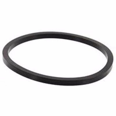108102 Neptune O-Ring ( BF-ORING )