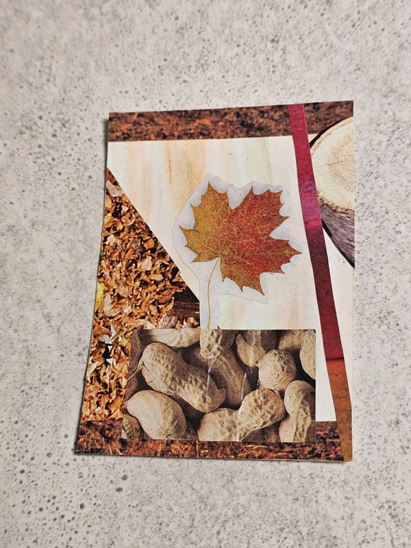 ACEO TheArtofKatie Fall Nut Wood Leaf Collage Watercolor Junk Abstract 2.5x3.5"