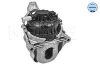 Meyle Lagerung, Motor 100 199 1022 FüR Audi Cupra Seat Skoda Vw