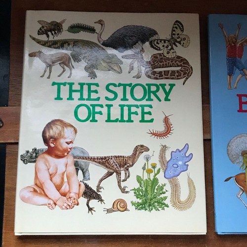 Lot of 2 Life Sciences Series BEAUTIFUL BODIES & THE STORY OF LIFE Hardcover w  - Foto 2 di 10