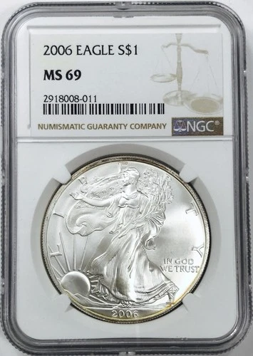 2006 AMERICAN SILVER EAGLE NGC MS 69! MAGNIFICENT STRIKE! LOOK NOW! NR #G3533