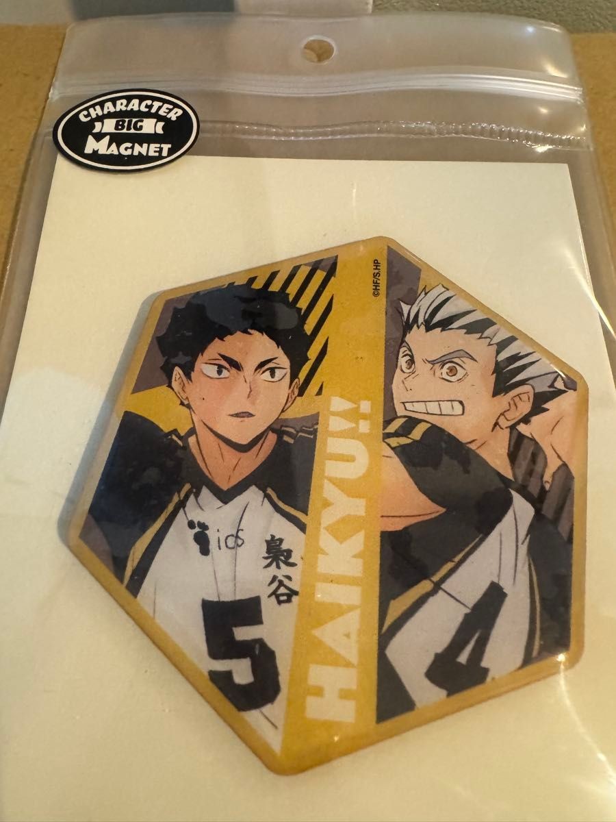 Haikyu!! Koutarou Bokuto & Keiji Akaashi Character Big Magnet, Fukurodani,