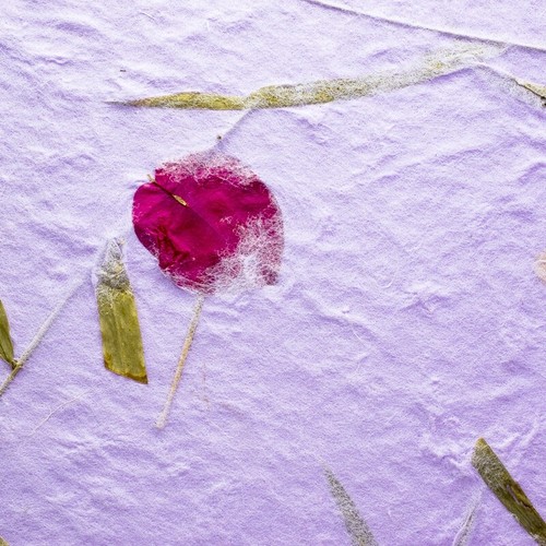 20x Mulberry Sheet Flowers of Pressed Purple Botanical Handmade Paper Book Craft - Bild 10 von 12