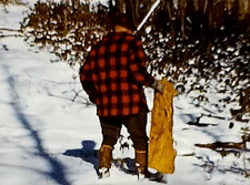 1960s Deer Hunting Okome Pennsylvania Men Winter Home Vintage 8mm Movie Film