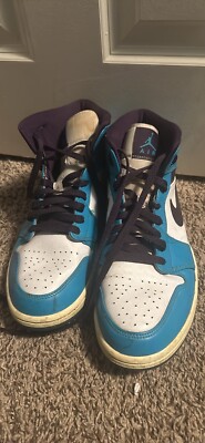 Size 10 Air Jordan Mid Hornets