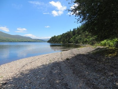 Photo A3 Looking eastwards along the shoreline of Loch Arkaig Loch Arkai c2014