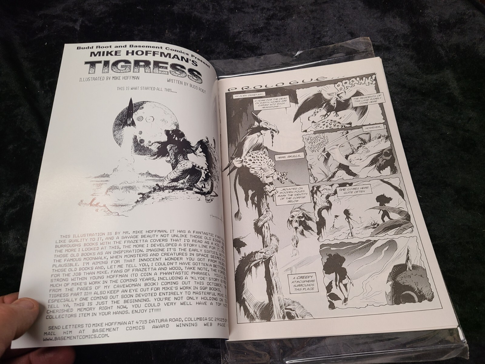 1996 Basement Comics TIGRESS #1 First Issue Comic Book Budd Root Mike Hoffman