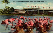 Flamingos & Nests at Hialeah Race Course Hialeah Florida Linen Postcard